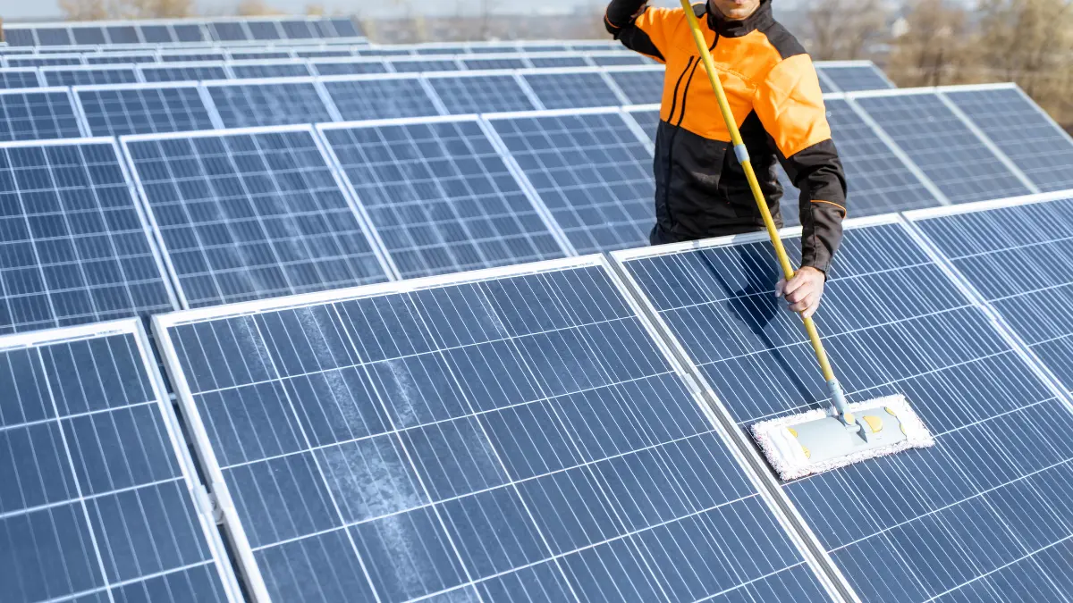 Limpieza paneles solares.